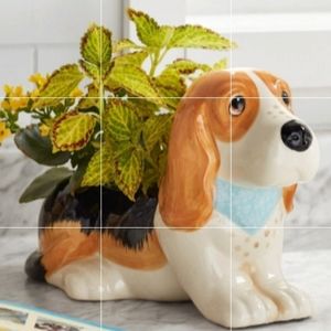 ❤️ New Pioneer Woman Charlie Planter